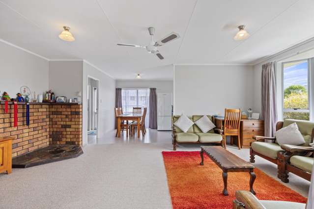 39 Hibiscus Avenue Hamilton Lake_4