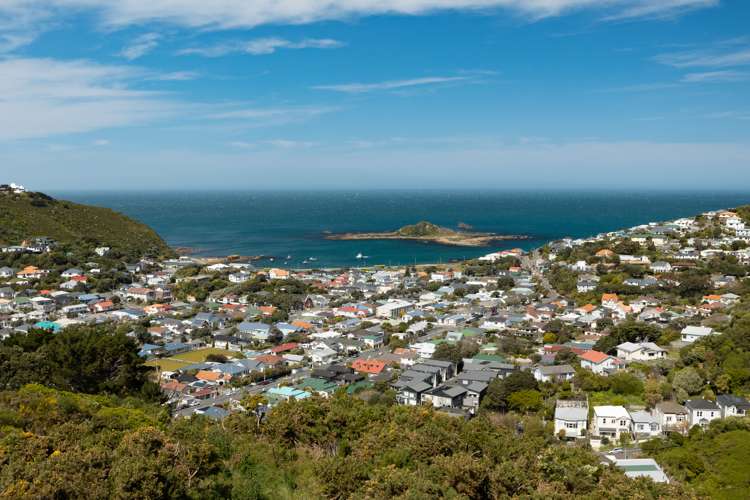 24A Freeling Street Island Bay_2