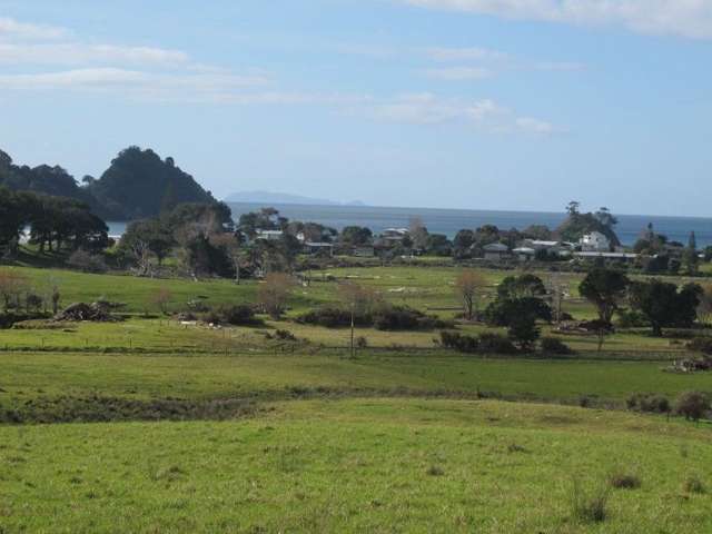 151e Te Punga Road Whangapoua_3