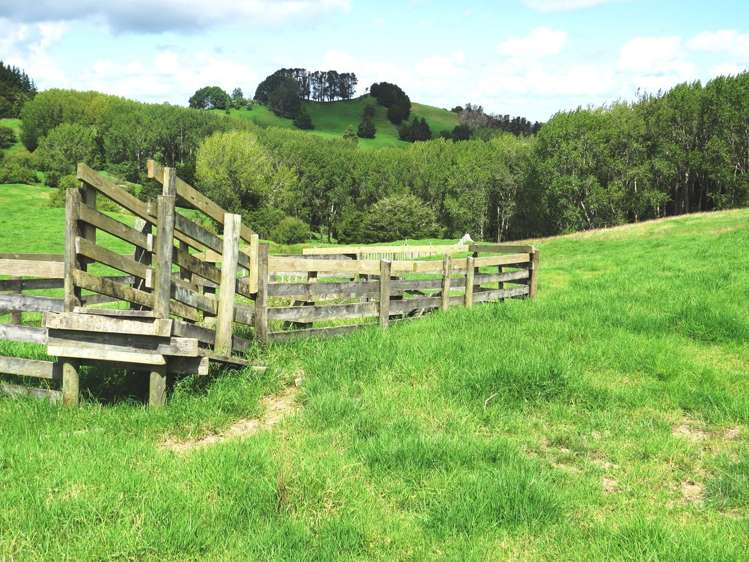 1877 Pipiwai Road Ruatangata_7