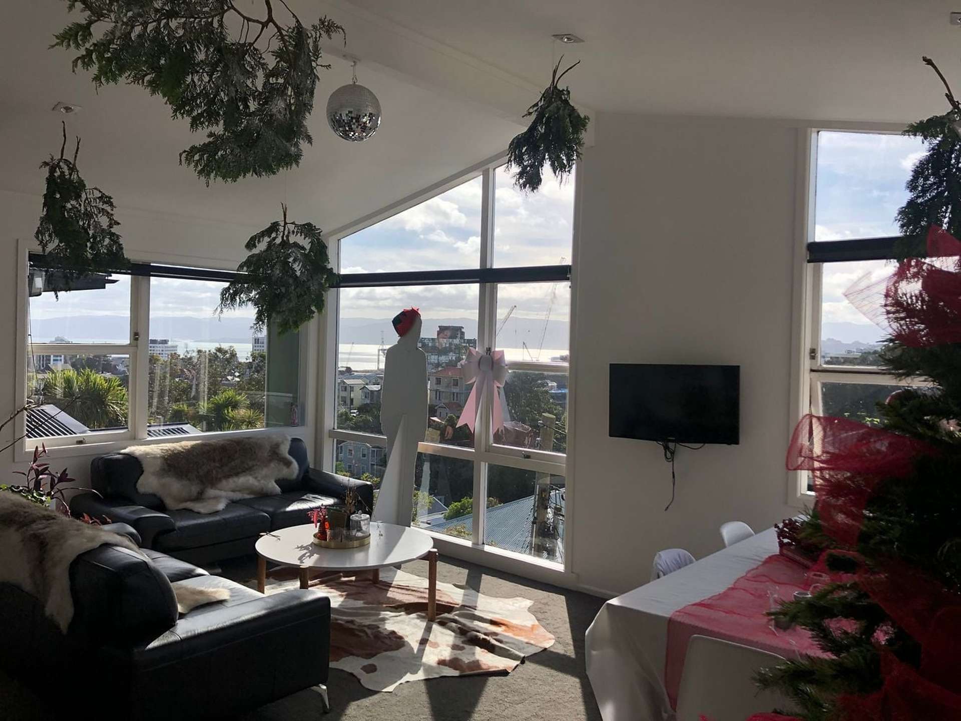 17A Barton Terrace Thorndon_0