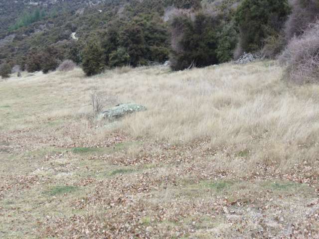 132 Willowbank Road Queensberry_1