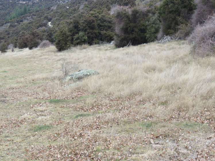 132 Willowbank Road_1