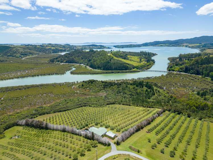 125A Frantoio Ridge Road Mangonui_30
