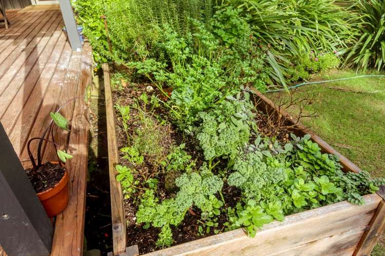 11a Ryan Road Te Akau_22