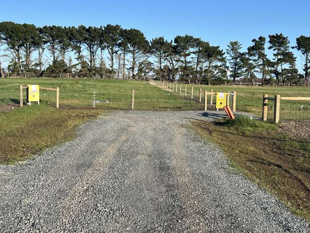 1169 Motu Rimu Road Motu Rimu_3