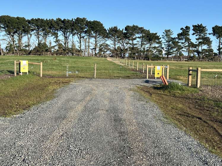 1169 Motu Rimu Road_3