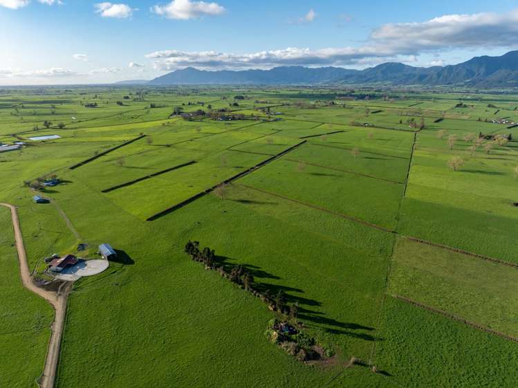 416 Wardville Road Matamata_29