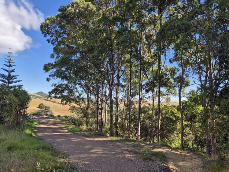 79 Awaawaroa Road Awaawaroa Bay_9