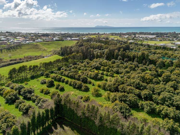 134a Athenree Road Athenree_5