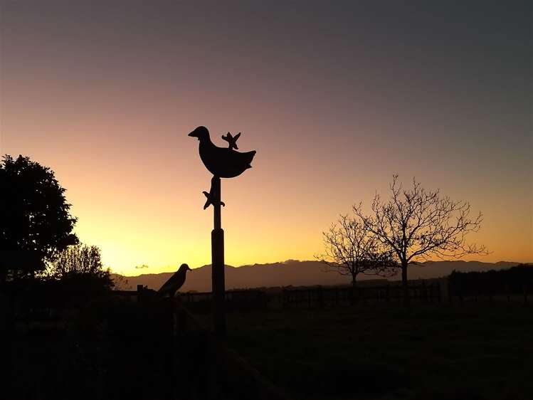 1440 Te Whiti Road Gladstone_26