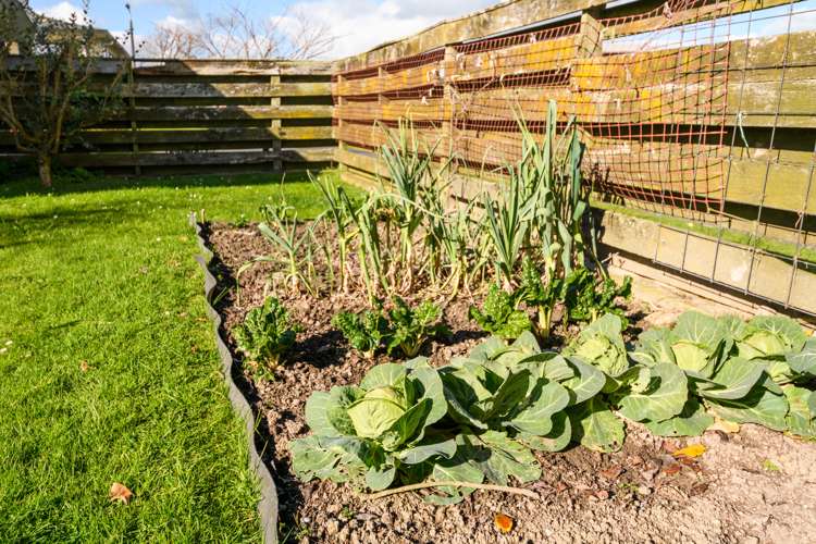 8 Heayns Place Feilding_21