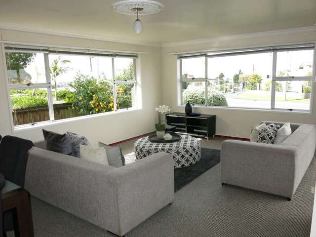 61 Newcastle Road Dinsdale_4