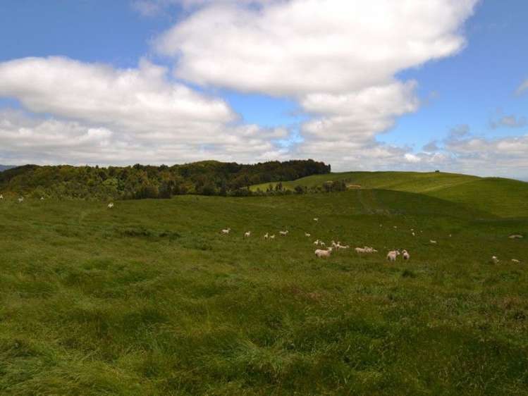 184 Grice Road Wharepuhunga_11