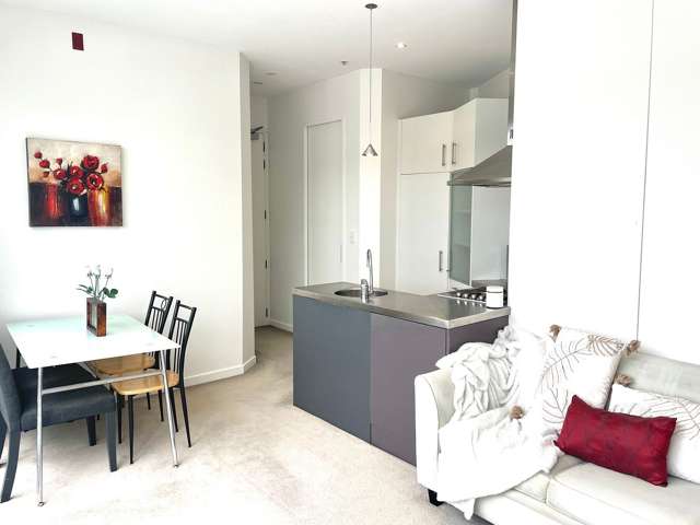 13/29 Jessie Street Te Aro_2