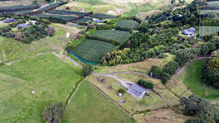 70A Thompson Road Waiotahe_38