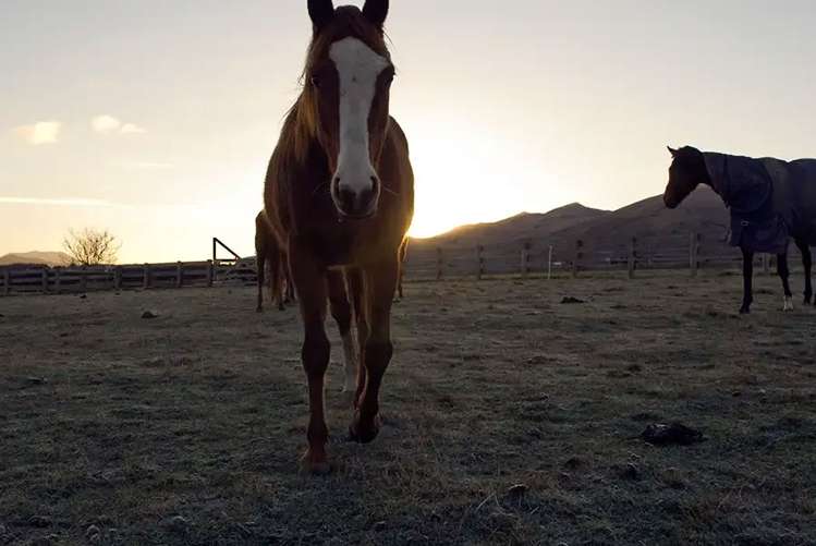 620 Coleridge Road Windwhistle_9