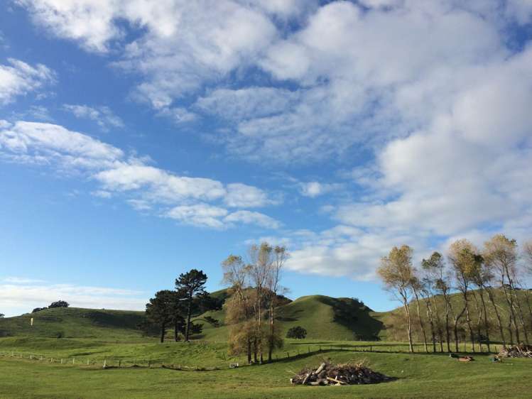 190 Pacific Ocean, Slipper Island (Whakahua) Thames_58