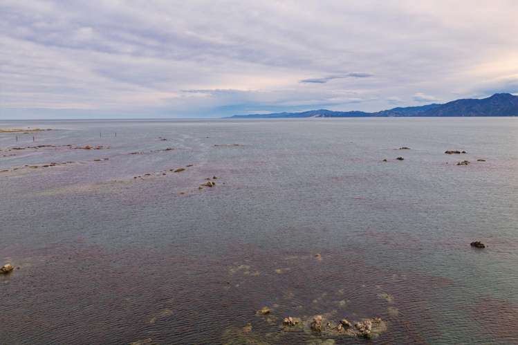 1 Kotuku Road Kaikoura_28