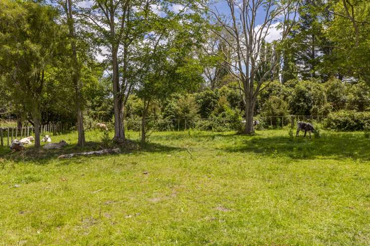 15 Maharakeke Road Waipukurau_22