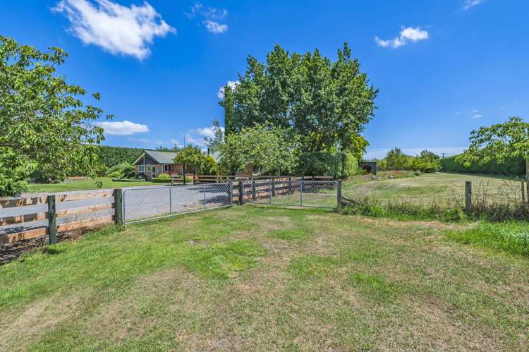 725 Ridgens Road Charing Cross_28