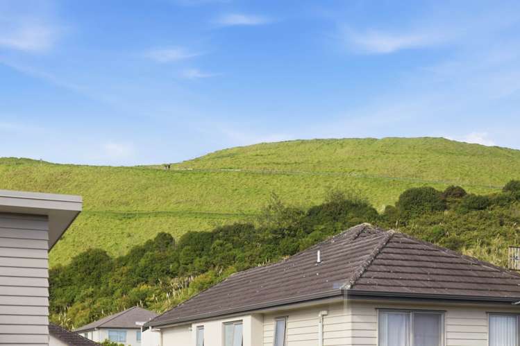 30 Ganley Terrace Stonefields_21