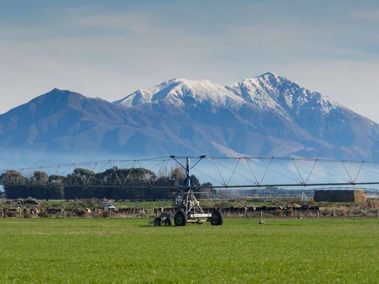 671 Hinds Lismore Road Lismore_11