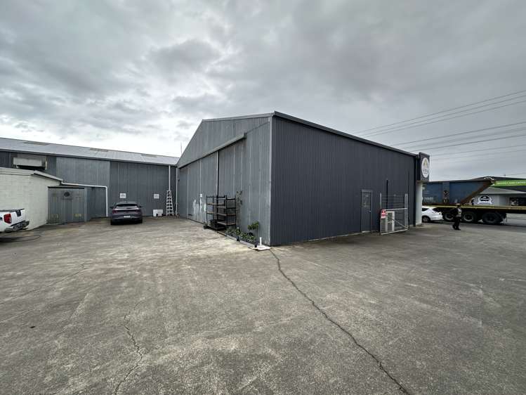 62 Austin Street Onekawa_8