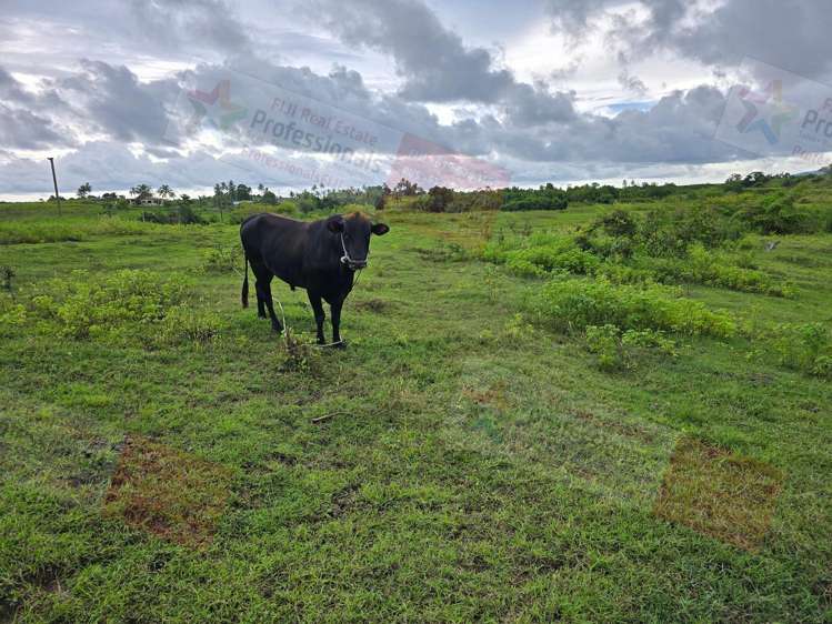 Address withheld Sonaisali_27