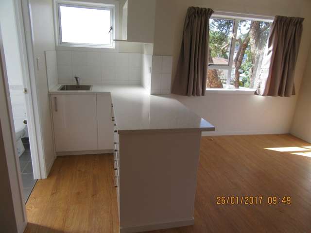 4a Matai Road Greenlane_1