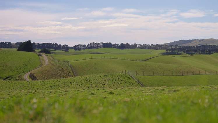 137 McLeods Road Palmerston_33