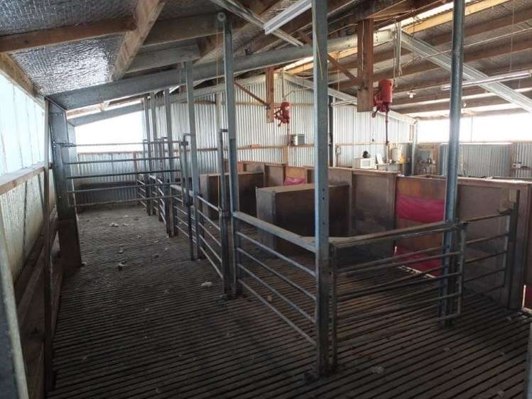 831 Chorlton Road Little Akaloa_3