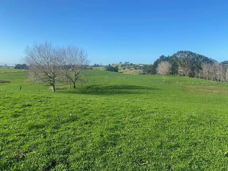 41 Marshall Road Manukau Heads_14