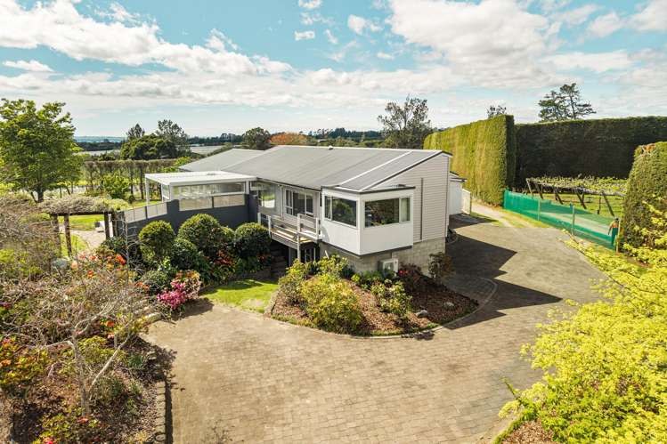453 No 3 Road Te Puke_22