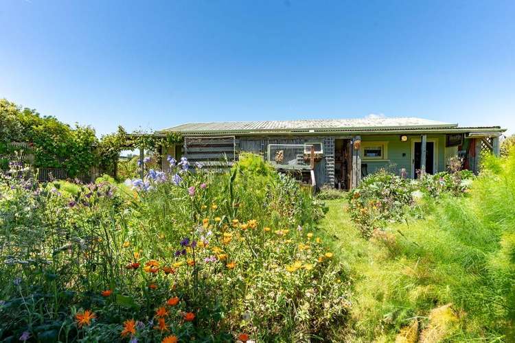 253A Kokotau Road Kokotau_35