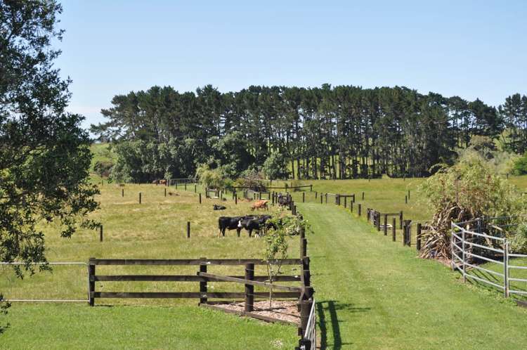 96 Westhead Road Waiuku_25