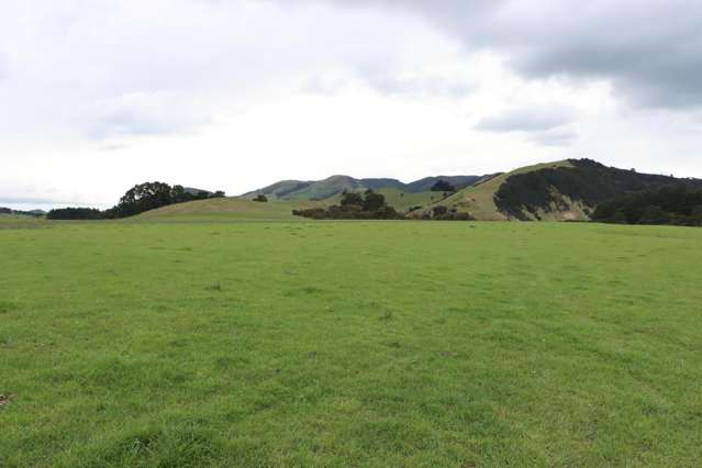 8401 Route 52 Dannevirke_4