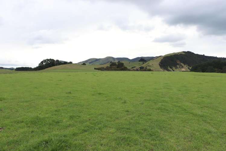 8401 Route 52 Dannevirke_4