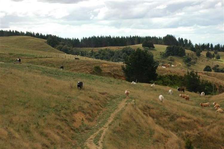 Waiti Road Tahuna_12