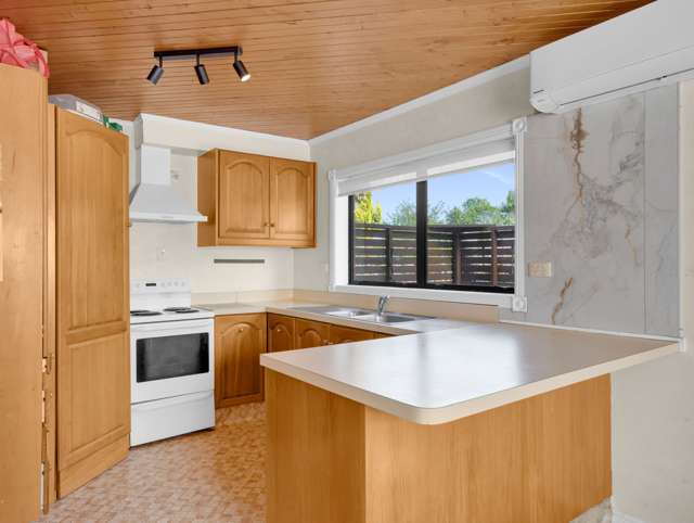 345 Thames Street Morrinsville_3