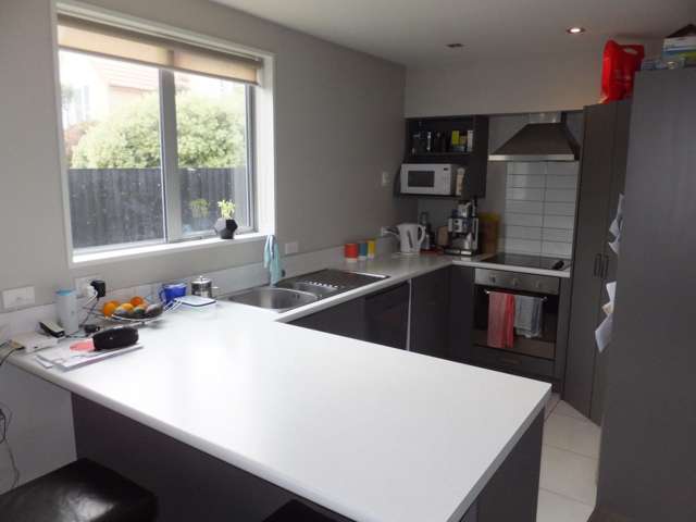 6b Elizabeth Street Riccarton_1