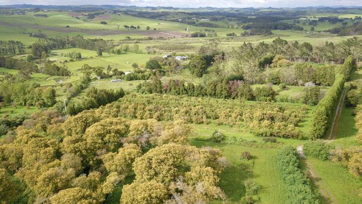 405 Tara Road Mangawhai_15