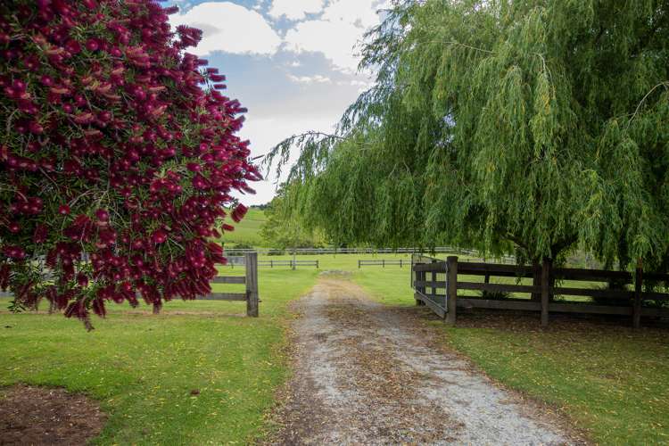 526 Mahurangi East Road Algies Bay_14