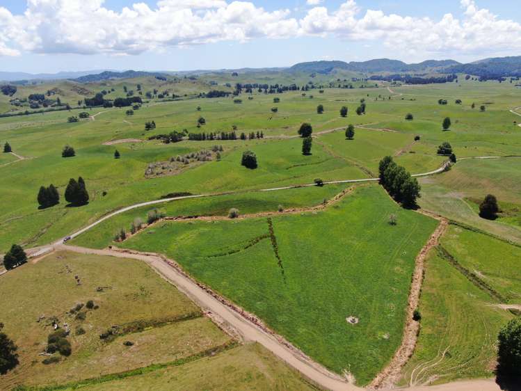 967 Ohura Road Aria_5