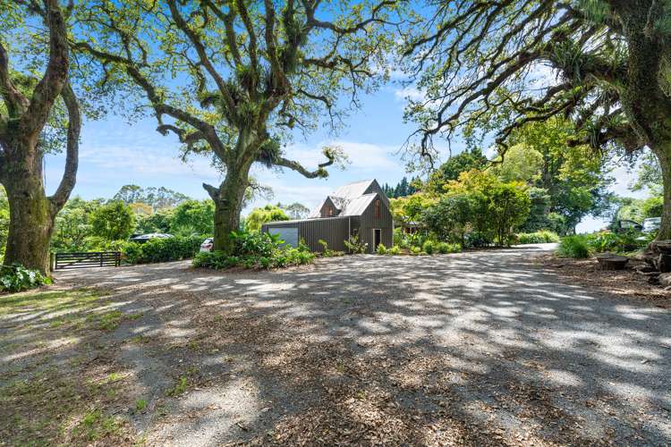 792a No 2 Road Te Ranga_25