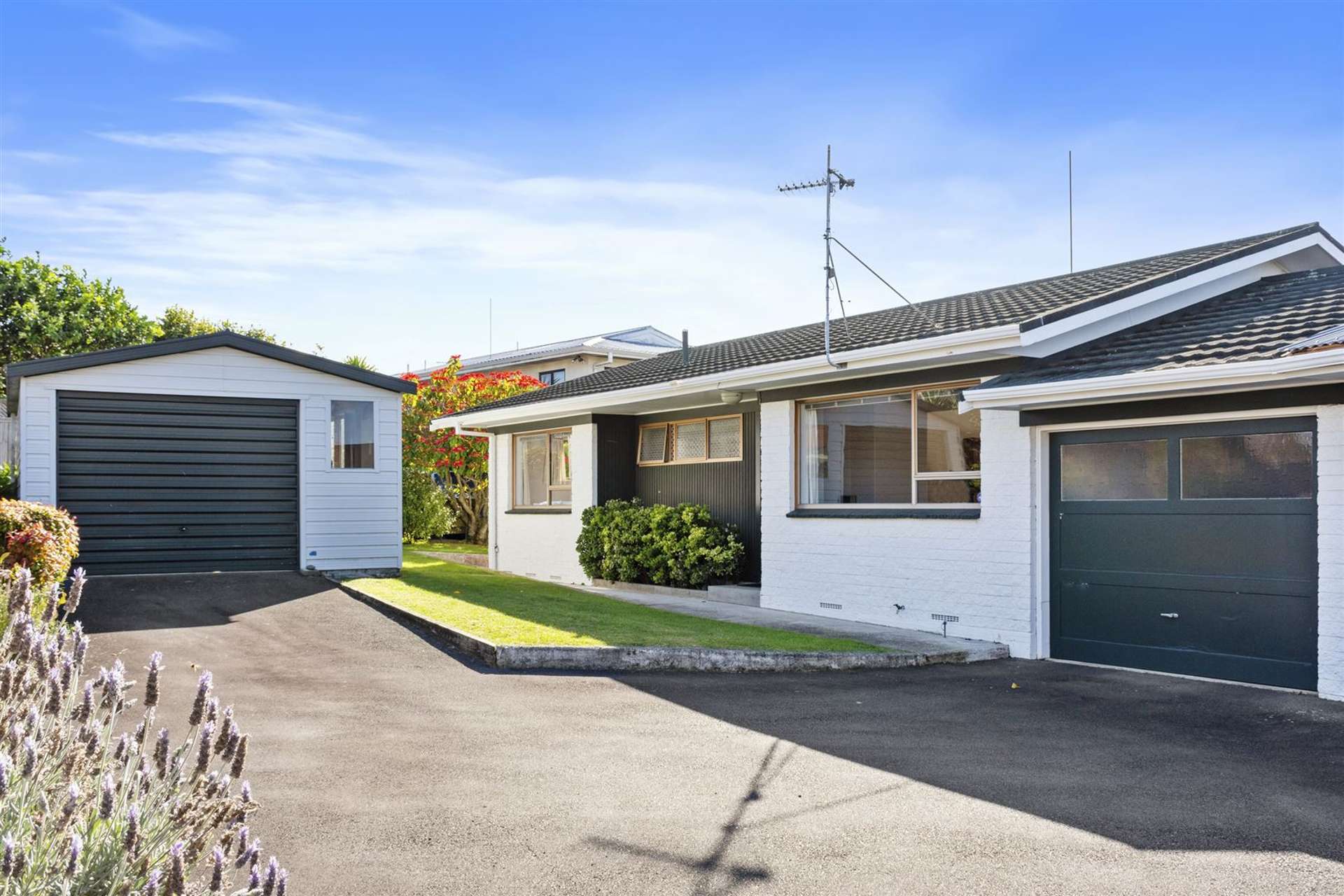 27b Mahoe Street Matua_0