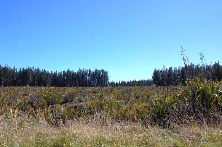 28 Erua Road National Park_13