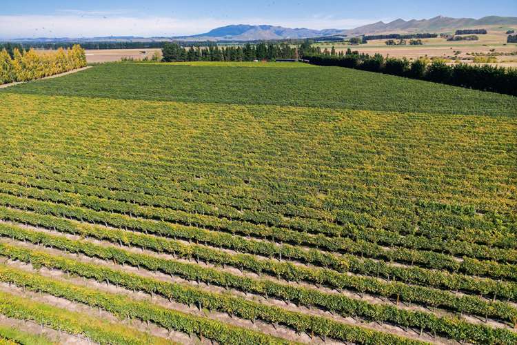 253 Mackenzies Road Waipara_7