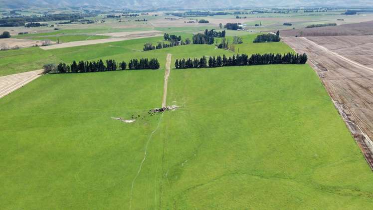 311 Hamilton Road Fairlie_3