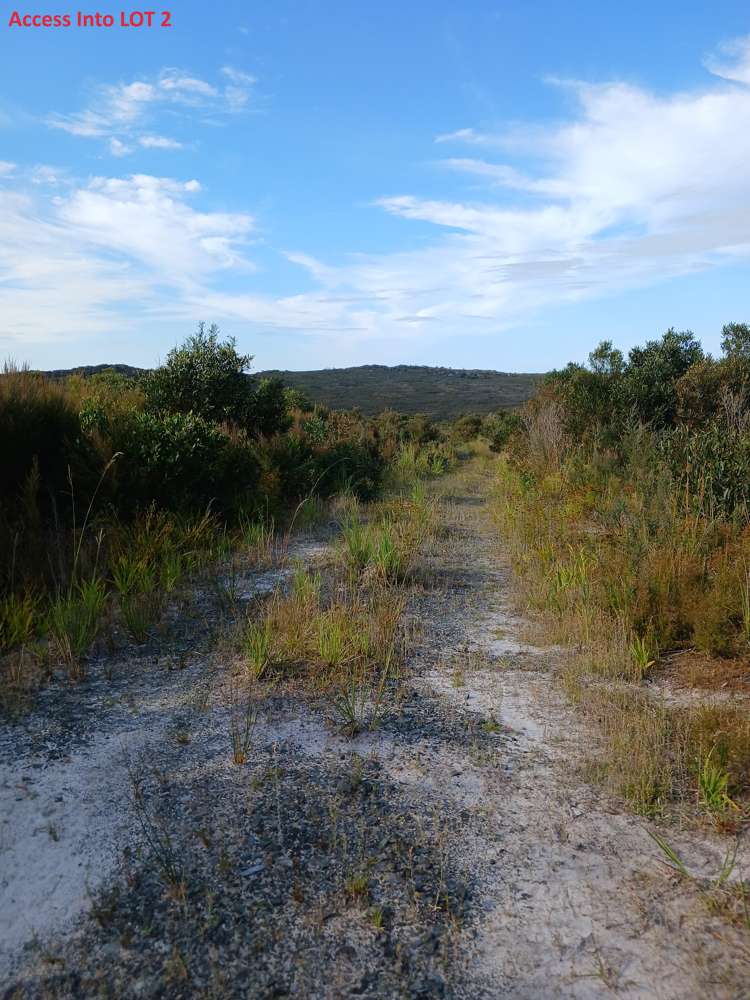 1/2 Tahanga Road Lake Ohia_21